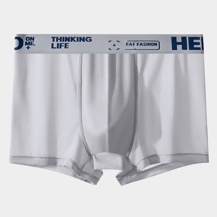 HELLO Ice Boxer