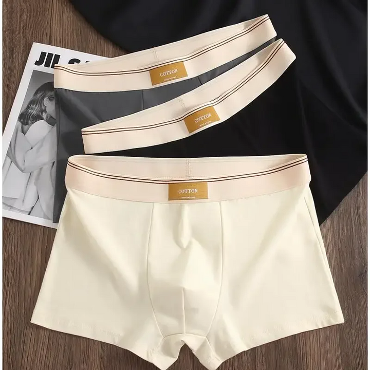 Cotton Theory Boxer