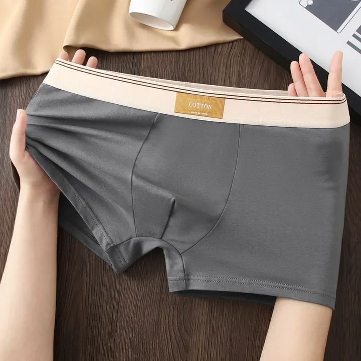 Cotton Theory Boxer
